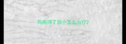 狗狗得了细小怎么治疗