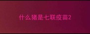 什么猪是七联疫苗