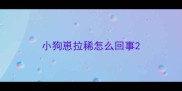 小狗崽拉稀怎么回事