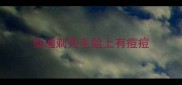 泰迪剃完毛脸上有痘痘