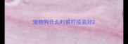 宠物狗什么时候打疫苗好
