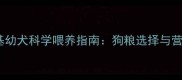 五个月柯基幼犬科学喂养指南狗粮选择与营养配比全