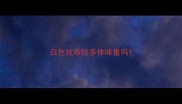 白色拉布拉多体味重吗