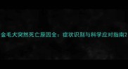 金毛犬突然死亡原因全症状识别与科学应对指南