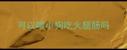 可以喂小狗吃火腿肠吗