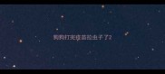 狗狗打完疫苗拉虫子了