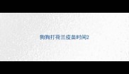 狗狗打荷兰疫苗时间