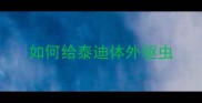 如何给泰迪体外驱虫
