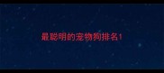 最聪明的宠物狗排名