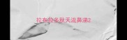 拉布拉多秋天流鼻涕