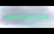 宠物狗狗需要打什么疫苗