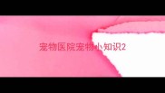 宠物医院宠物小知识