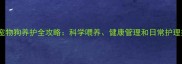 家庭宠物狗养护全攻略科学喂养健康管理和日常护理技巧