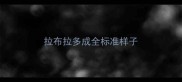 拉布拉多成全标准样子