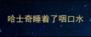 哈士奇睡着了咽口水