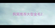 狗窝推荐大型金毛