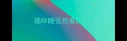 猫咪睡觉抱着后腿