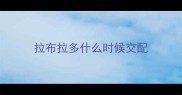 拉布拉多什么时候交配