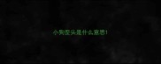 小狗歪头是什么意思