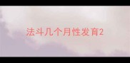 法斗几个月性发育