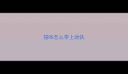 猫咪怎么带上地铁