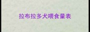 拉布拉多犬喂食量表
