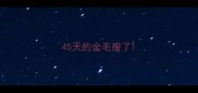 45天的金毛瘦了