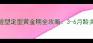 史宾格幼犬脸型定型黄金期全攻略3-6月龄关键护理指南