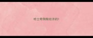 哈士奇狗粮经济的