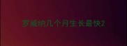 罗威纳几个月生长最快