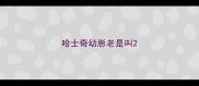 哈士奇幼崽老是叫