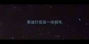 泰迪打疫苗一块脱毛