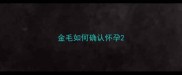 金毛如何确认怀孕