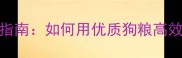 科学喂养与训练指南如何用优质狗粮高效训练拉布拉多犬