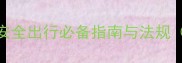 狗狗乘车全攻略安全出行必备指南与法规附车型适配方案