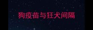 狗疫苗与狂犬间隔