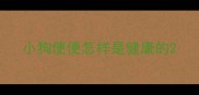 小狗便便怎样是健康的