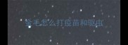 金毛怎么打疫苗和驱虫