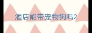 酒店能带宠物狗吗