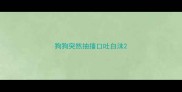 狗狗突然抽搐口吐白沫