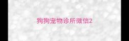 狗狗宠物诊所微信