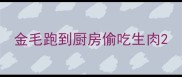 金毛跑到厨房偷吃生肉