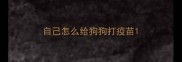 自己怎么给狗狗打疫苗