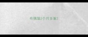 布偶猫3个月多重
