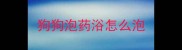 狗狗泡药浴怎么泡