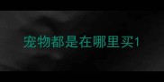 宠物都是在哪里买