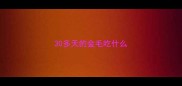 30多天的金毛吃什么