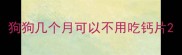 狗狗几个月可以不用吃钙片