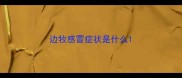 边牧感冒症状是什么