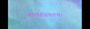 纯白色的边牧价格